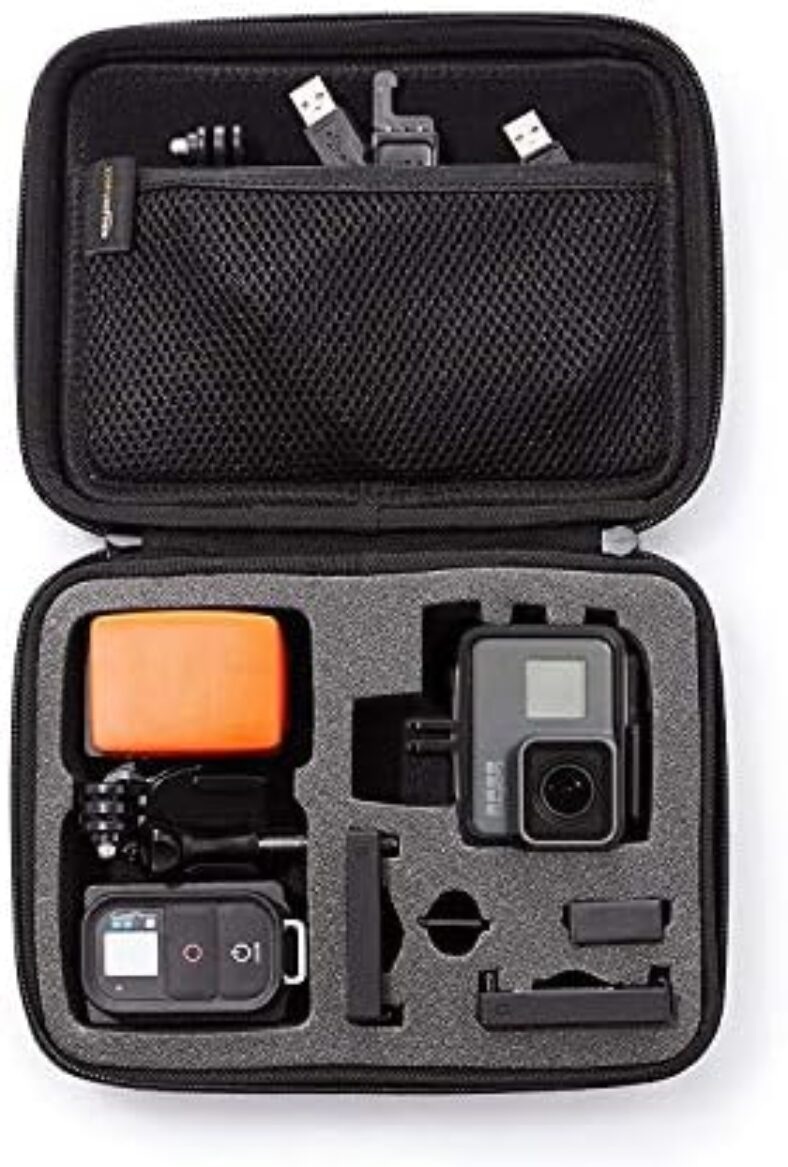 Amazon Basics Small Carrying Case for GoPro And Accessories – 9 x 7 x 2.5 Inches, Solid, Black