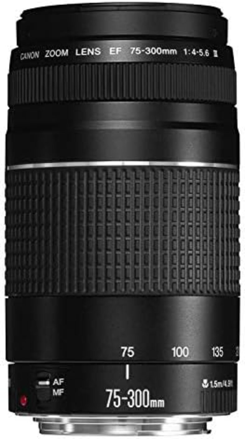 Canon EF 75-300mm f/4-5.6 III Telephoto Zoom Lens for Canon SLR Cameras