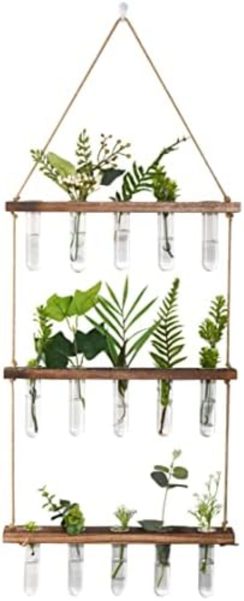 Window Garden Wall Hanging Plant Propagation Station – Mini Glass Planter Tubes for Hydroponic Plants – Stylish Indoor Plants for Home Decor – Ideal Gift for Women & Plant Lovers – houseplants Holder